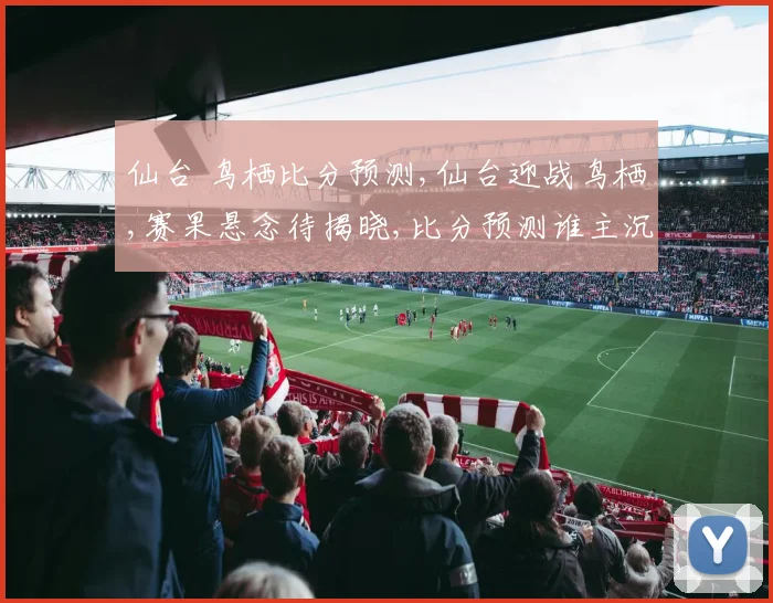 仙台 鸟栖比分预测,仙台迎战鸟栖,赛果悬念待揭晓,比分预测谁主沉浮
