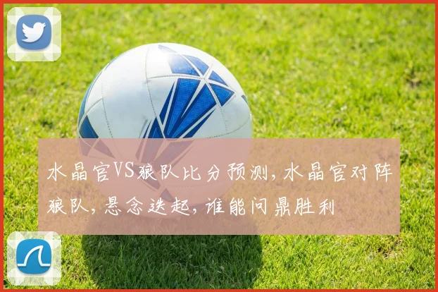 水晶官VS狼队比分预测,水晶官对阵狼队,悬念迭起,谁能问鼎胜利