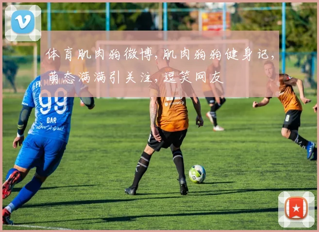 体育肌肉狗微博,肌肉狗狗健身记,萌态满满引关注,逗笑网友