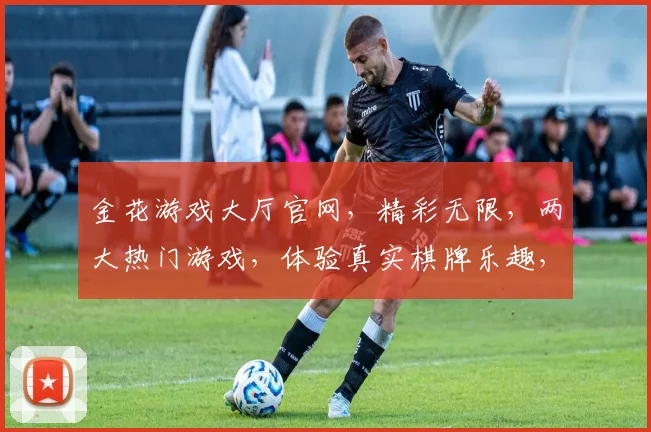 金花游戏大厅官网，精彩无限，两大热门游戏，体验真实棋牌乐趣，一触即发