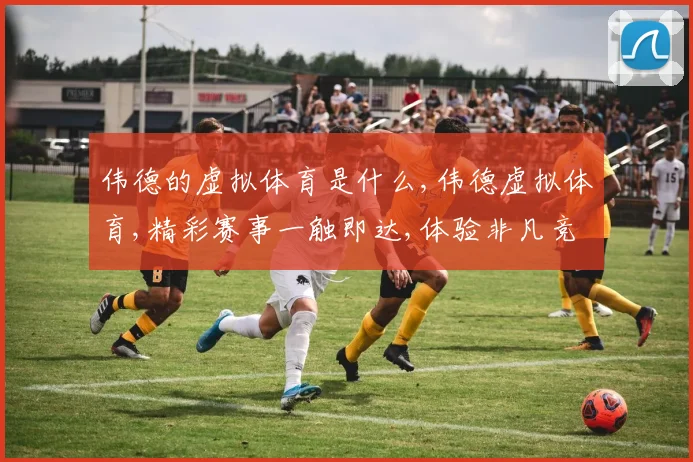 伟德的虚拟体育是什么,伟德虚拟体育,精彩赛事一触即达,体验非凡竞技魅力