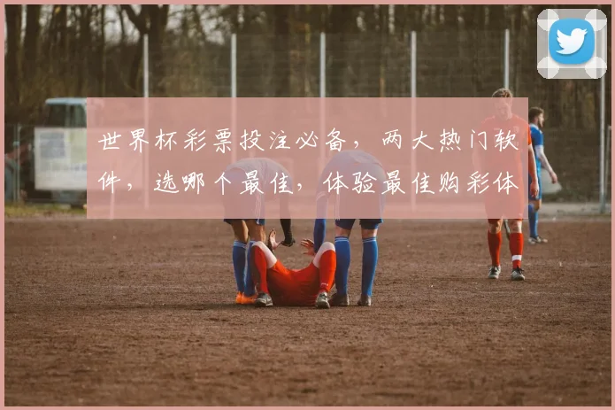 世界杯彩票投注必备，两大热门软件，选哪个最佳，体验最佳购彩体验